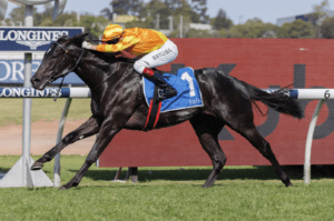 Shangri La Express bolts clear in Golden Gift