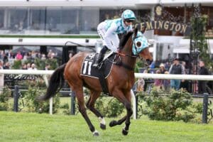 Rising Fast Stakes favouritism up for grabs in classy field