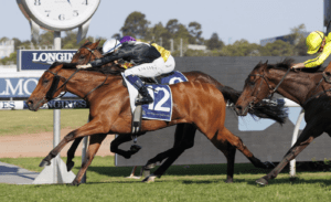 Unspoken continues winning ways with Five Diamonds Success
