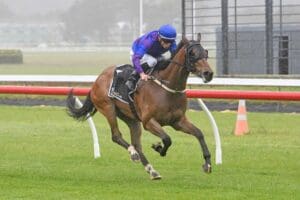 Up The Anti chasing Stakes success at Otaki