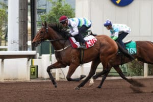 Voyage Bubble, Beauty Eternal limber up for HKIR with trial wins