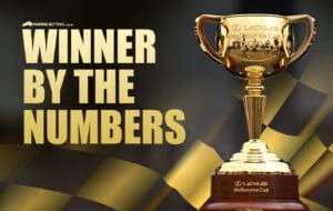 The 2023 Melbourne Cup winner by the numbers