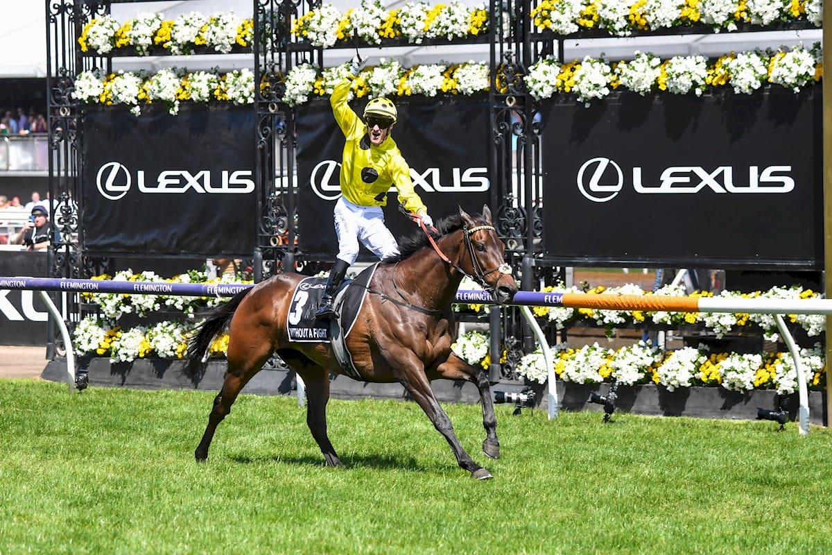 Who won this year's Melbourne Cup?