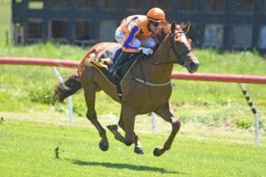 Te Akau Captured By Love with exciting filly