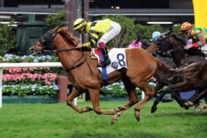 Pierre Ng continues barnstorming run with Happy Valley success