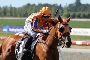 Consistent Elegant Lady to tackle Breeders’ Stakes