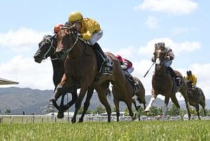 Didham’s magnificent run continues with Trentham double