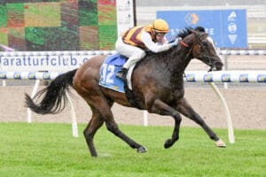 Give Giggles remains unbeaten on home track