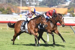 Black-type quest for promising filly