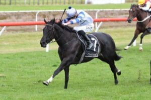 Smart mare to ride her luck from bad gate