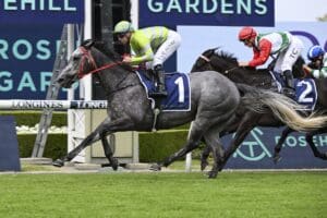 Lekvarte chasing Stakes success after Rosehill victory