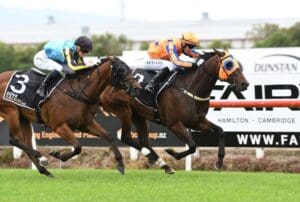 Juvenile chasing special success for connections