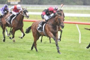 Patterson stablemates hunting northern feature success