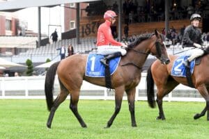 Revolutionary Miss clings on to claim Summoned Stakes