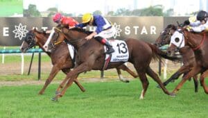 Abounding bounds away with Magic Millions 3YO Guineas triumph
