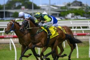Queensland trainers set to chase Karaka riches