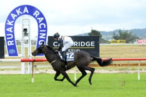 Blissfull Lady’s staying credentials shine in Northland Cup