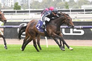 Bold Soul shows staying promise at Flemington