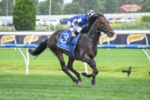 Brave Mead runs his rivals ragged in Manfred Stakes victory