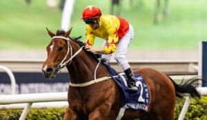 Cruz upbeat over Group 1 Stewards’ Cup hopes