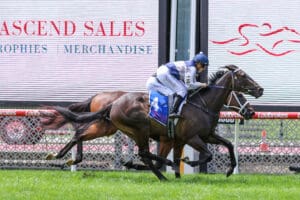 Ceerseven records strong victory at Moonee Valley