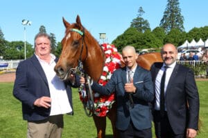 Crocetti chasing Group 3 success on return