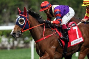 Happy Together steps up for Group 3 January Cup
