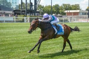 Hayasugi finishes best in Group 3 Blue Diamond Preview (F)