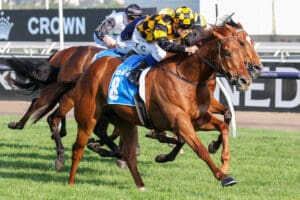 Holymanz poised to chase Aotearoa Classic riches