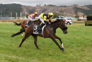 Mary Louise victorious in Group 3 Wellington Cup