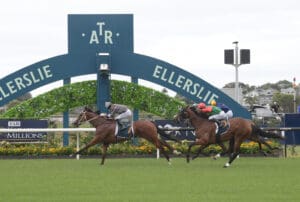 Master Fay claims Group 2 success at Ellerslie