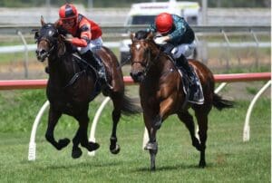 Stakes targets await Pericles following Pukekohe triumph