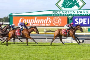 Stablemates set to duke it out in Thorndon Mile