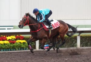 Romantic Warrior goes for Hong Kong Gold Cup redemption