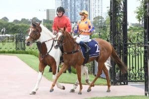 Sans Doute to be aimed towards Stakes races after Flemington win