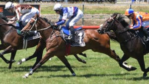Skyman chasing maiden NZ win in Group 1 company