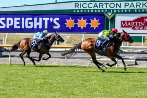 The Radiant One a class above in Timaru Stakes