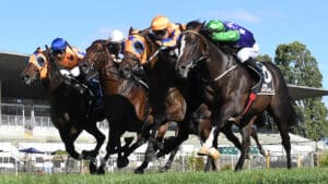 Te Akau gelding ready to ascend another Guineas throne