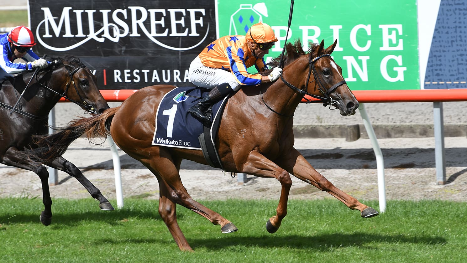 Captured By Love - Matamata Breeders' Stakes