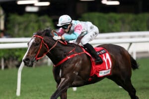 Danny Shum chasing Happy Valley riches