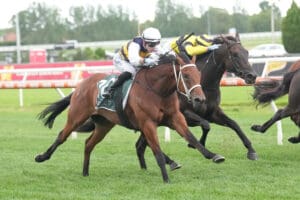NZ Derby contender Interlinked