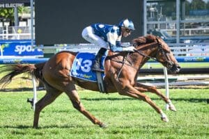 Jimmysstar set for Stakes level challenge at Flemington