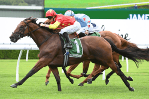 King Of Sparta rattles home to claim Group 2 Expressway Stakes