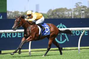 Lady Of Camelot does it easy in Widden Stakes