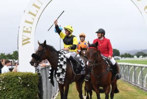 Trial tops Taranaki pair off nicely for Avondale Cup