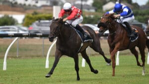 Orchestral justifies favouritism in Avondale Guineas