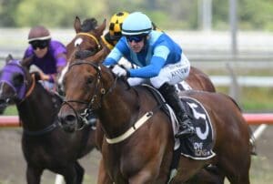 Nakhle duo primed for Te Rapa assignments