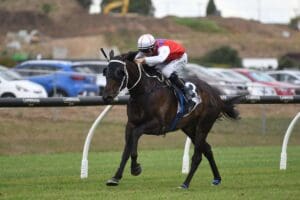 Sailor Jack looking to gain Auckland Cup berth
