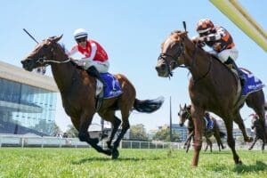 Snow Patrol gets the head down in Group 2 Autumn Stakes
