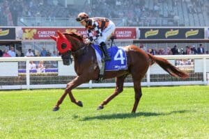 Australian Guineas contender Southport Tycoon